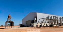 Fazenda de Soja à Venda 4.926 Hectares Infraestrutura Completa e Irrigação Consolidada | Jussara/GO