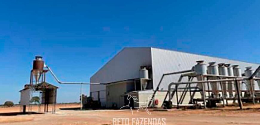 Fazenda de Soja à Venda 4.926 Hectares Infraestrutura Completa e Irrigação Consolidada | Jussara/GO