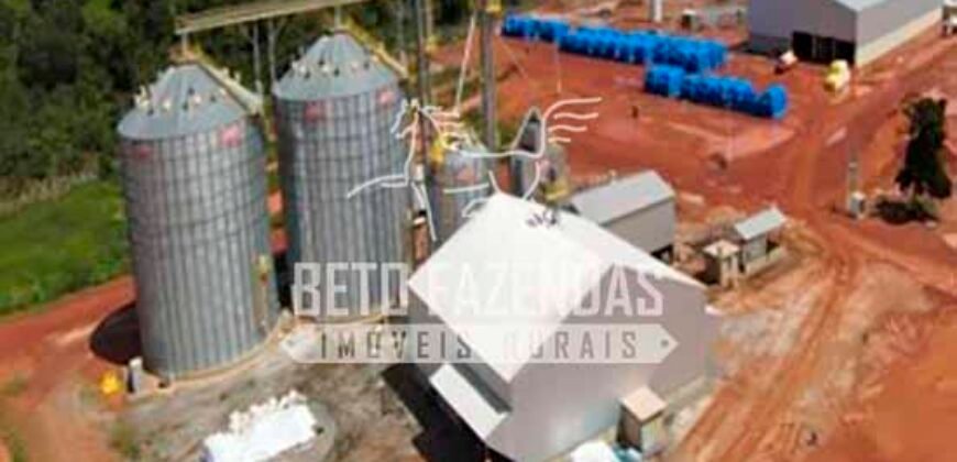Fazenda de Soja à Venda 4.926 Hectares Infraestrutura Completa e Irrigação Consolidada | Jussara/GO