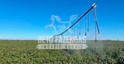 Fazenda de Soja à Venda 4.926 Hectares Infraestrutura Completa e Irrigação Consolidada | Jussara/GO