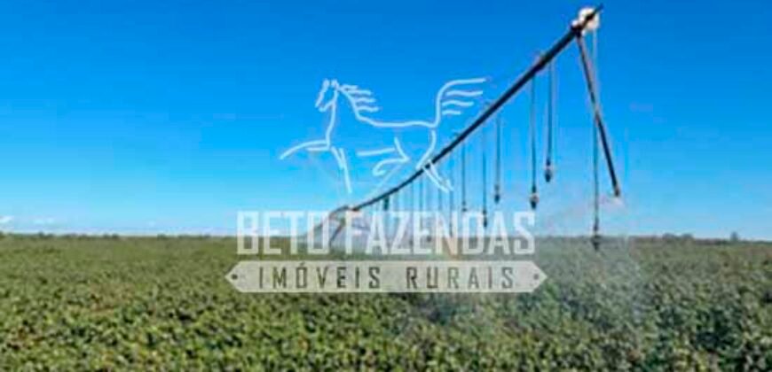Fazenda de Soja à Venda 4.926 Hectares Infraestrutura Completa e Irrigação Consolidada | Jussara/GO