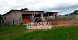 Fazenda de Soja à Venda 4.926 Hectares Infraestrutura Completa e Irrigação Consolidada | Jussara/GO