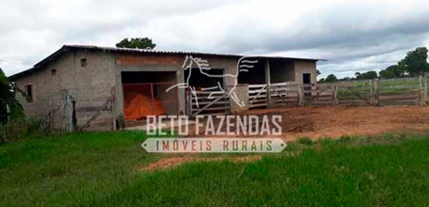 Fazenda de Soja à Venda 4.926 Hectares Infraestrutura Completa e Irrigação Consolidada | Jussara/GO