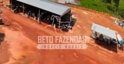 Fazenda de Soja à Venda 4.926 Hectares Infraestrutura Completa e Irrigação Consolidada | Jussara/GO