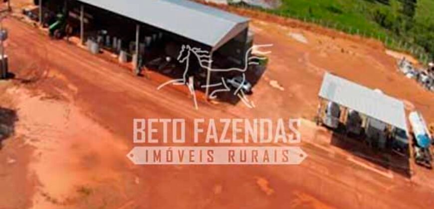 Fazenda de Soja à Venda 4.926 Hectares Infraestrutura Completa e Irrigação Consolidada | Jussara/GO