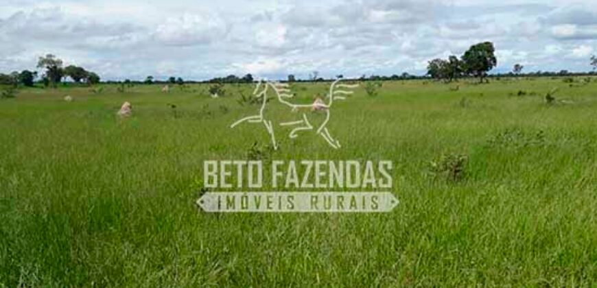 Fazenda de Soja à Venda 4.926 Hectares Infraestrutura Completa e Irrigação Consolidada | Jussara/GO