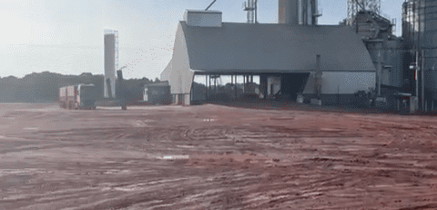 Fazenda para Arrendamento 7.000 has Lavoura de Soja, Milho e Algodão | Sinop/MT