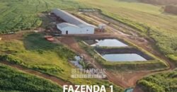 Portfólio de 4 Fazendas à Venda 720 Alqueires Ecossistema Agrícola no Oeste do Paraná