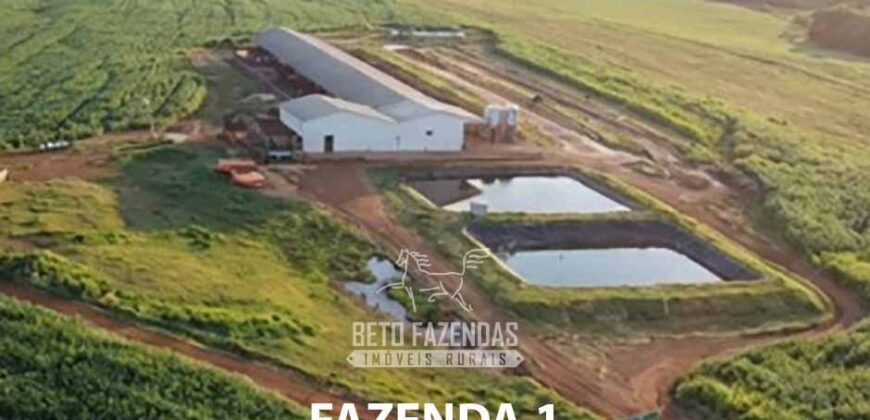 Portfólio de 4 Fazendas à Venda 720 Alqueires Ecossistema Agrícola no Oeste do Paraná