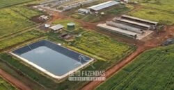 Portfólio de 4 Fazendas à Venda 720 Alqueires Ecossistema Agrícola no Oeste do Paraná