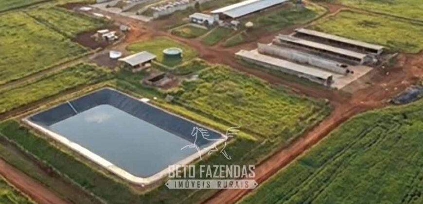 Portfólio de 4 Fazendas à Venda 720 Alqueires Ecossistema Agrícola no Oeste do Paraná