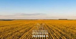 Portfólio de 4 Fazendas à Venda 720 Alqueires Ecossistema Agrícola no Oeste do Paraná