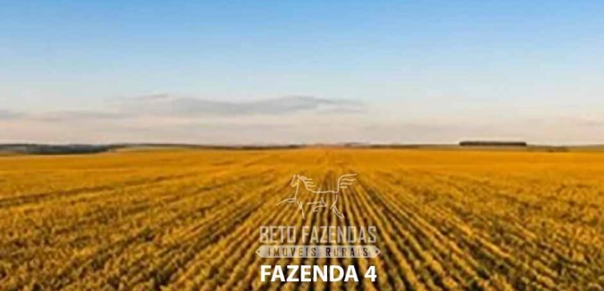 Portfólio de 4 Fazendas à Venda 720 Alqueires Ecossistema Agrícola no Oeste do Paraná