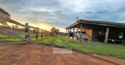 Fazenda à Venda 442,82 Hectares Mineração e Pecuária | Aripuanã/ MT