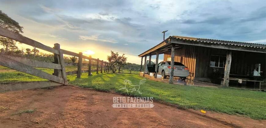 Fazenda à Venda 442,82 Hectares Mineração e Pecuária | Aripuanã/ MT
