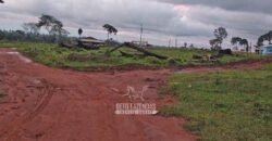 Fazenda à Venda 442,82 Hectares Mineração e Pecuária | Aripuanã/ MT