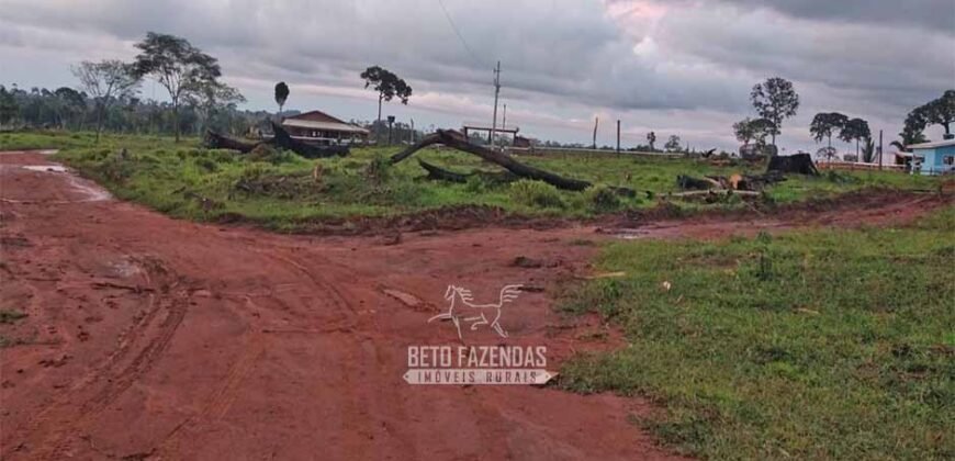 Fazenda à Venda 442,82 Hectares Mineração e Pecuária | Aripuanã/ MT