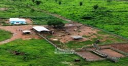 Fazenda à Venda 442,82 Hectares Mineração e Pecuária | Aripuanã/ MT