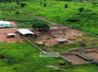Fazenda à Venda 442,82 Hectares Mineração e Pecuária | Aripuanã/ MT