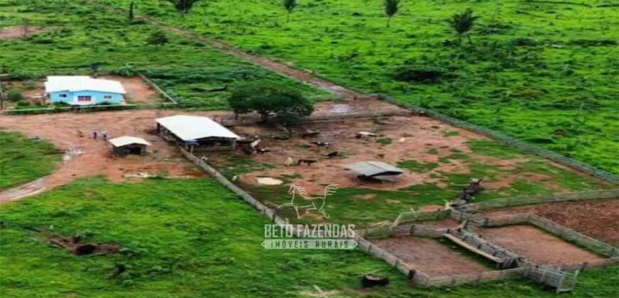 Fazenda à Venda 442,82 Hectares Mineração e Pecuária | Aripuanã/ MT