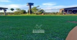 Fazenda à Venda 442,82 Hectares Mineração e Pecuária | Aripuanã/ MT
