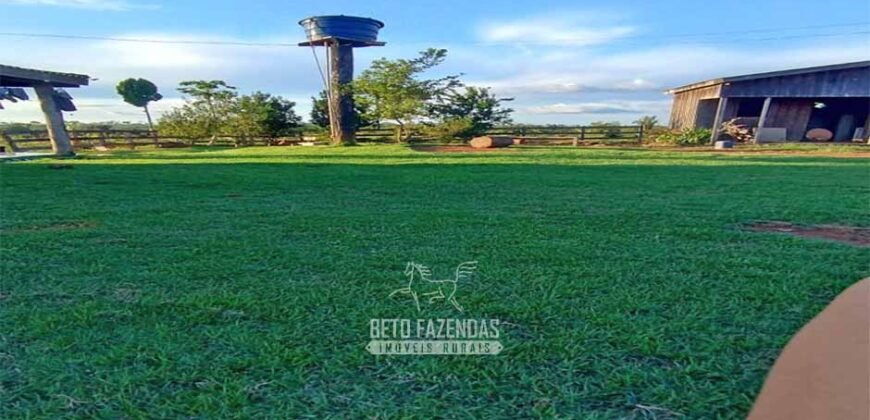 Fazenda à Venda 442,82 Hectares Mineração e Pecuária | Aripuanã/ MT