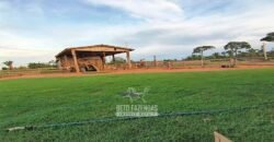 Fazenda à Venda 442,82 Hectares Mineração e Pecuária | Aripuanã/ MT