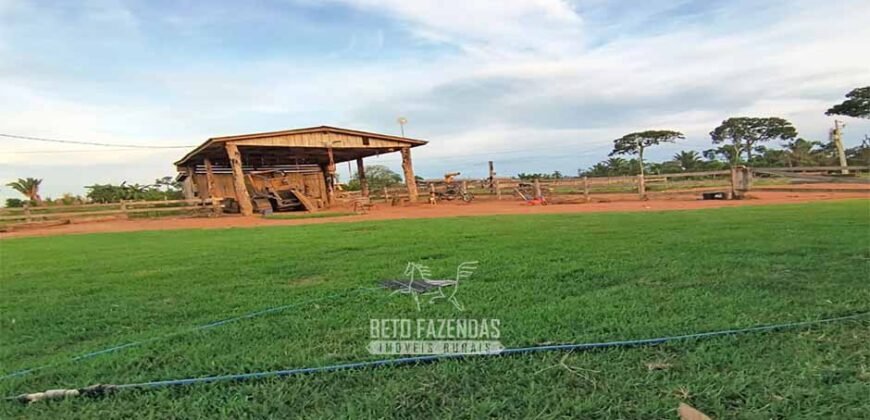Fazenda à Venda 442,82 Hectares Mineração e Pecuária | Aripuanã/ MT