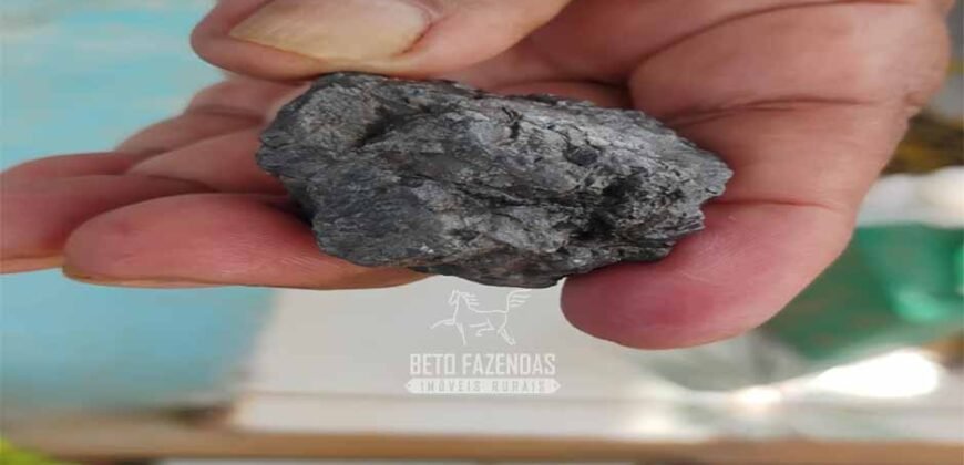Fazenda à Venda 442,82 Hectares Mineração e Pecuária | Aripuanã/ MT