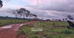 Fazenda à Venda 442,82 Hectares Mineração e Pecuária | Aripuanã/ MT
