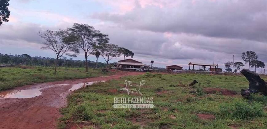 Fazenda à Venda 442,82 Hectares Mineração e Pecuária | Aripuanã/ MT