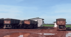 Fazenda para Arrendamento 7.000 has Lavoura de Soja, Milho e Algodão | Sinop/MT