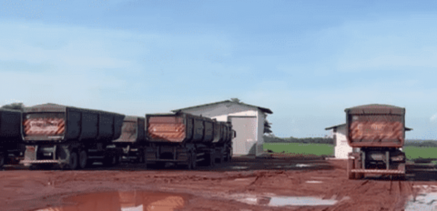 Fazenda para Arrendamento 7.000 has Lavoura de Soja, Milho e Algodão | Sinop/MT