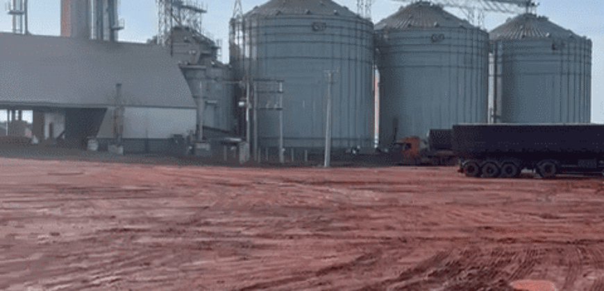 Fazenda para Arrendamento 7.000 has Lavoura de Soja, Milho e Algodão | Sinop/MT