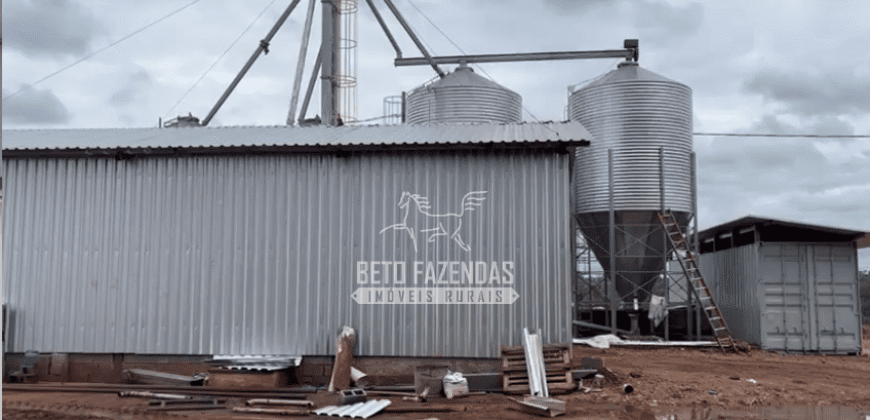 Fazenda Leiteria 812 hectares Estrutura Completa Pecuária | Curvelo / MG