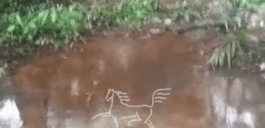 Fazenda à Venda 1.350 mil hectares Riqueza Mineral e Pista de Pouso no Pará