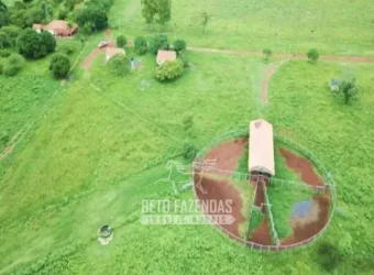 Fazenda à Venda 83.300 hectares Dupla Aptidão Lavoura e Pecuária | São Félix do Araguaia/MT
