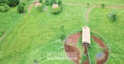 Fazenda à Venda 83.300 hectares Dupla Aptidão Lavoura e Pecuária | São Félix do Araguaia/MT