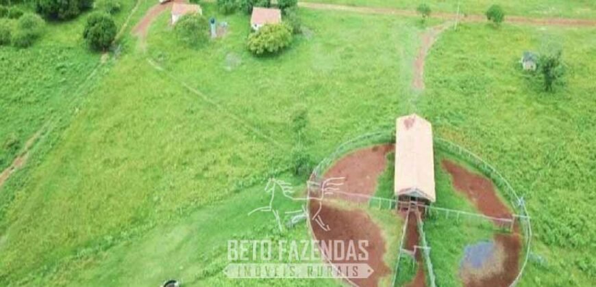 Fazenda à Venda 83.300 hectares Dupla Aptidão Lavoura e Pecuária | São Félix do Araguaia/MT