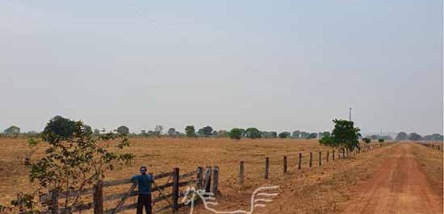 Fazenda à Venda 83.300 hectares Dupla Aptidão Lavoura e Pecuária | São Félix do Araguaia/MT