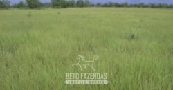 Fazenda à Venda 83.300 hectares Dupla Aptidão Lavoura e Pecuária | São Félix do Araguaia/MT