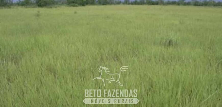 Fazenda à Venda 83.300 hectares Dupla Aptidão Lavoura e Pecuária | São Félix do Araguaia/MT