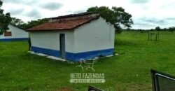 Fazenda à Venda 83.300 hectares Dupla Aptidão Lavoura e Pecuária | São Félix do Araguaia/MT
