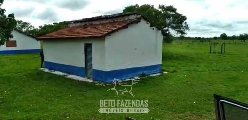 Fazenda à Venda 83.300 hectares Dupla Aptidão Lavoura e Pecuária | São Félix do Araguaia/MT