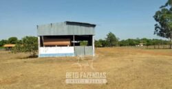 Fazenda à Venda 83.300 hectares Dupla Aptidão Lavoura e Pecuária | São Félix do Araguaia/MT