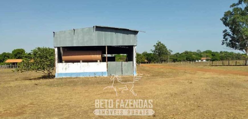 Fazenda à Venda 83.300 hectares Dupla Aptidão Lavoura e Pecuária | São Félix do Araguaia/MT