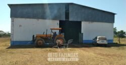 Fazenda à Venda 83.300 hectares Dupla Aptidão Lavoura e Pecuária | São Félix do Araguaia/MT