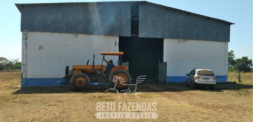 Fazenda à Venda 83.300 hectares Dupla Aptidão Lavoura e Pecuária | São Félix do Araguaia/MT