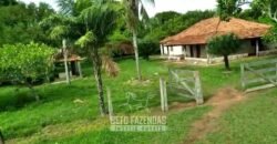 Fazenda à Venda 83.300 hectares Dupla Aptidão Lavoura e Pecuária | São Félix do Araguaia/MT