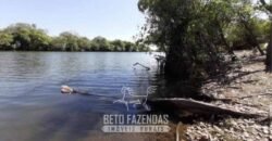 Fazenda à Venda 83.300 hectares Dupla Aptidão Lavoura e Pecuária | São Félix do Araguaia/MT